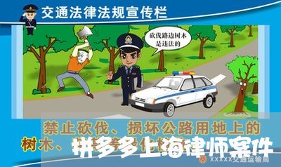 拼多多上海律师案件/2023032469613 拼多多上海律师案件/2023032469613