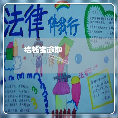 拾钱宝逾期