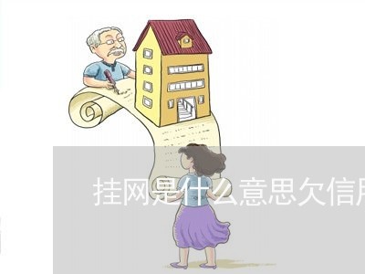 挂网是什么意思欠信用卡 挂网是什么意思欠信用卡