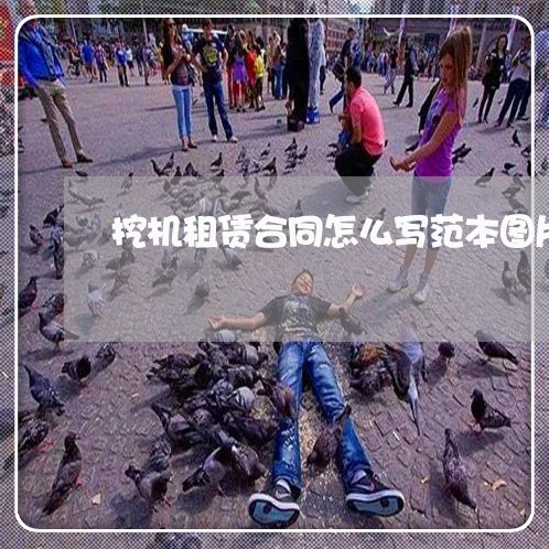 挖机租赁合同怎么写范本图片/2023060162582 挖机租赁合同怎么写范本图片/2023060162582