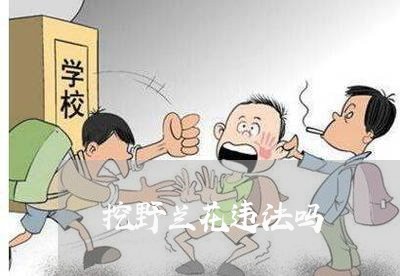 挖野兰花违法吗 挖野兰花违法吗