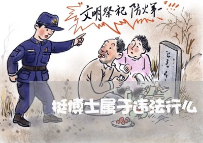 挺博士属于违法行么