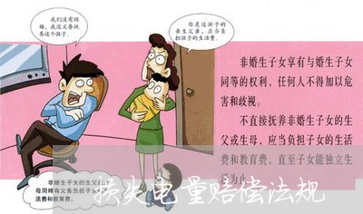 损失电量赔偿法规