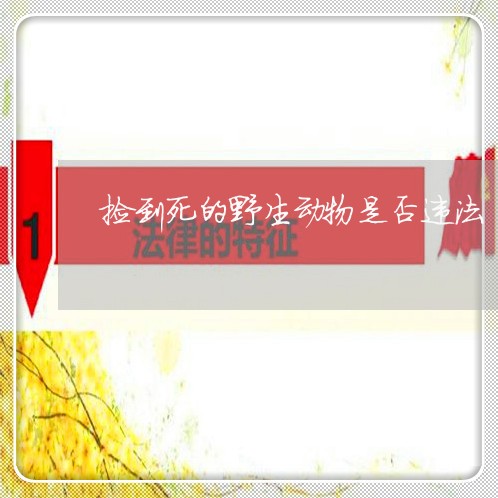 捡到死的野生动物是否违法