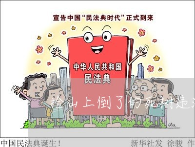 捡山上倒了的死树违法吗 捡山上倒了的死树违法吗