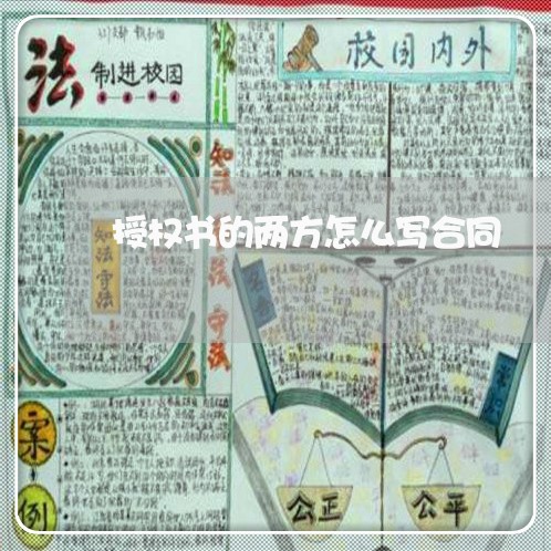 授权书的两方怎么写合同/2023060559381 授权书的两方怎么写合同/2023060559381