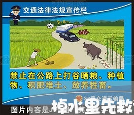 掉水里先救谁司法答案