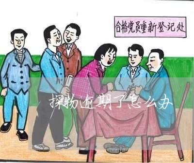 探物逾期了怎么办 探物逾期了怎么办
