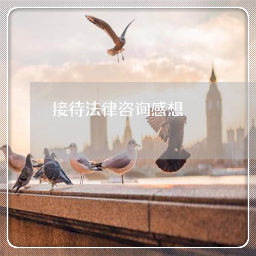 接待法律咨询感想 接待法律咨询感想
