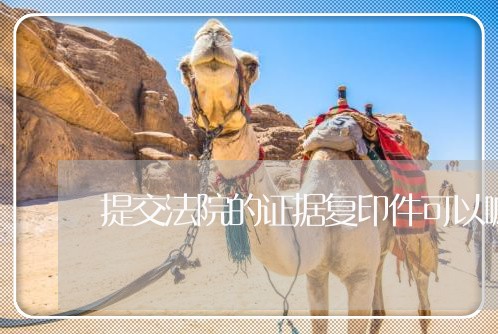 提交法院的证据复印件可以嘛 提交法院的证据复印件可以嘛