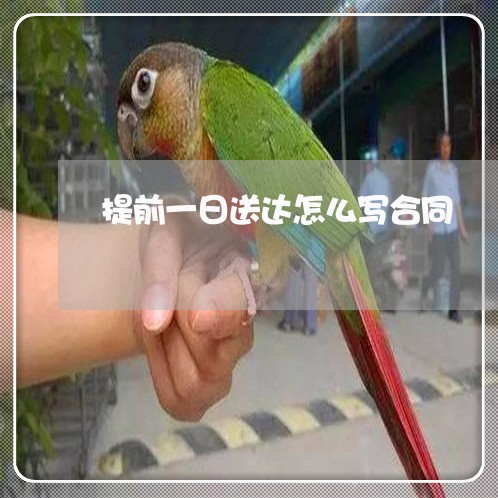 提前一日送达怎么写合同/2023041592717