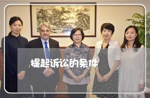 提起诉讼的条件 提起诉讼的条件