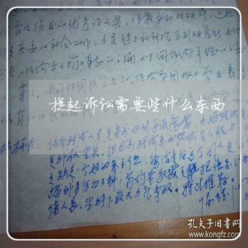 提起诉讼需要些什么东西