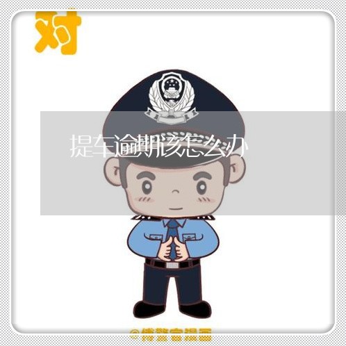 提车逾期该怎么办