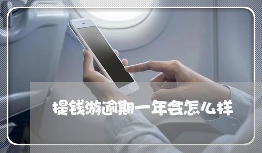 提钱游逾期一年会怎么样
