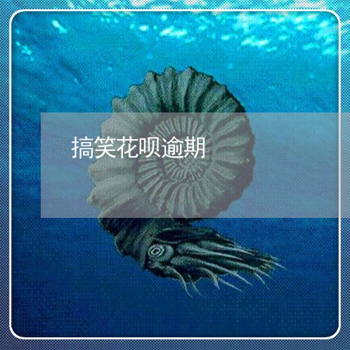 搞笑花呗逾期