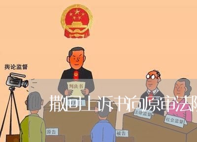 撒回上诉书向原审法院提交