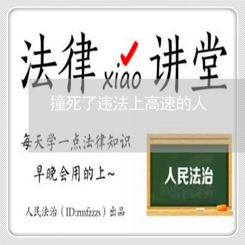 撞死了违法上高速的人