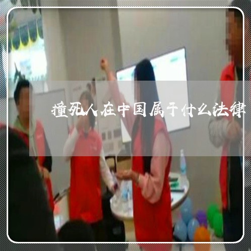 撞死人在中国属于什么法律 撞死人在中国属于什么法律