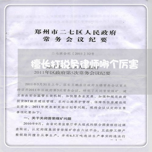 擅长打税务律师哪个厉害