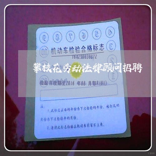 攀枝花劳动法律顾问招聘/2023061926281 攀枝花劳动法律顾问招聘/2023061926281