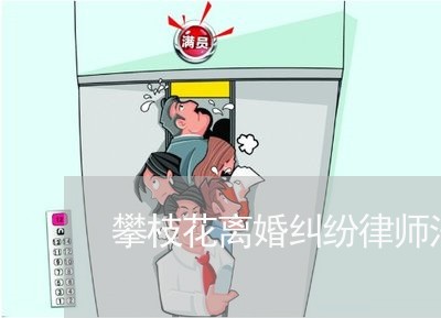 攀枝花离婚纠纷律师法律咨询