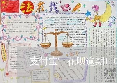 支付宝'花呗逾期10天/2023061867470