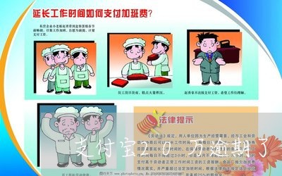 支付宝20万逾期了