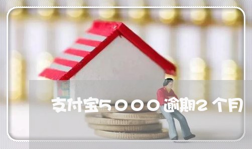 支付宝5000逾期2个月 支付宝5000逾期2个月
