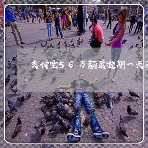 支付宝56万额度逾期一天还清 支付宝56万额度逾期一天还清