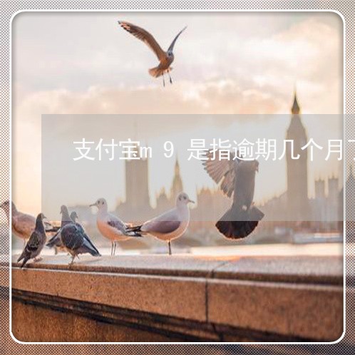 支付宝m9是指逾期几个月了 支付宝m9是指逾期几个月了