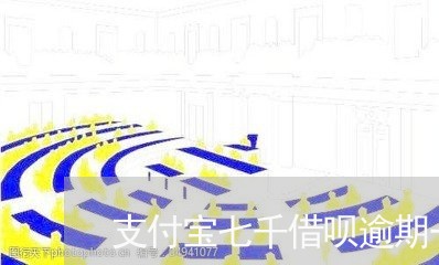 支付宝七千借呗逾期一年/2023012849382