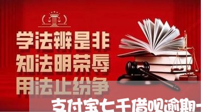 支付宝七千借呗逾期一年/2023030143837