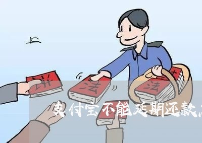 支付宝不能延期还款怎么办/2023100899505