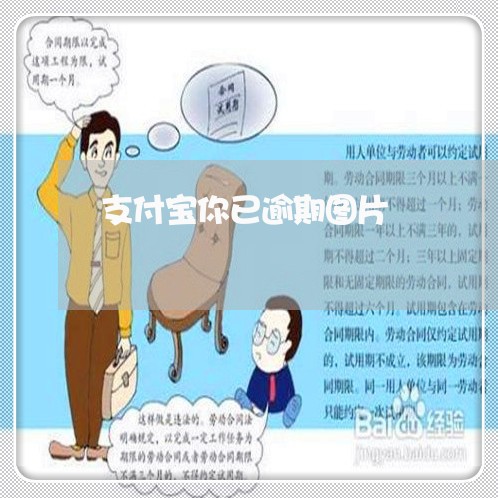 支付宝你已逾期图片