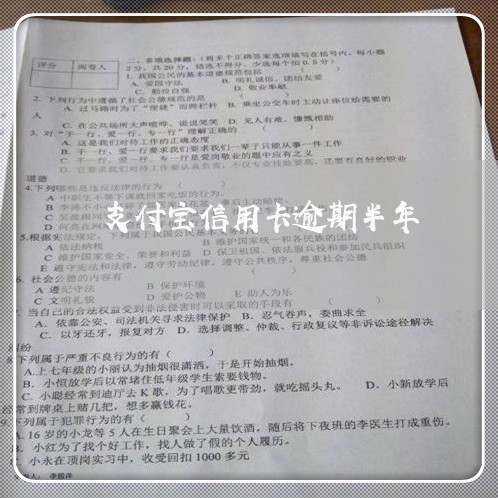 支付宝信用卡逾期半年 支付宝信用卡逾期半年