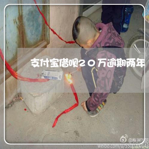 支付宝借呗20万逾期两年/2023030192525 支付宝借呗20万逾期两年/2023030192525