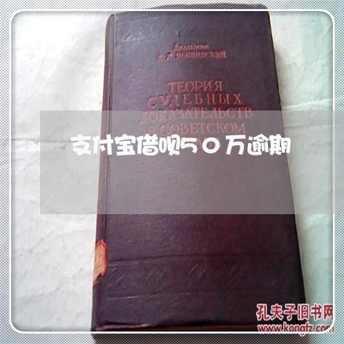 支付宝借呗50万逾期/2023030168350 支付宝借呗50万逾期/2023030168350