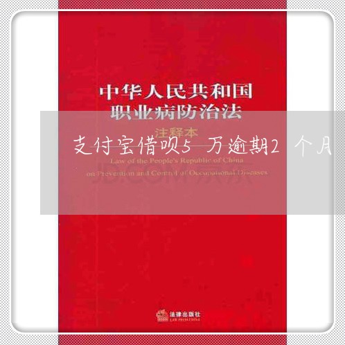 支付宝借呗5万逾期2个月/2023013025170