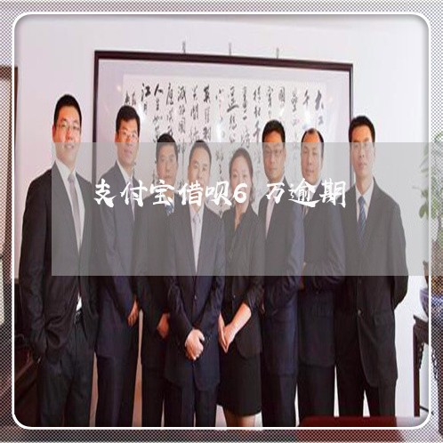 支付宝借呗6万逾期/2023030118403