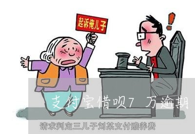 支付宝借呗7万逾期/2023020899650