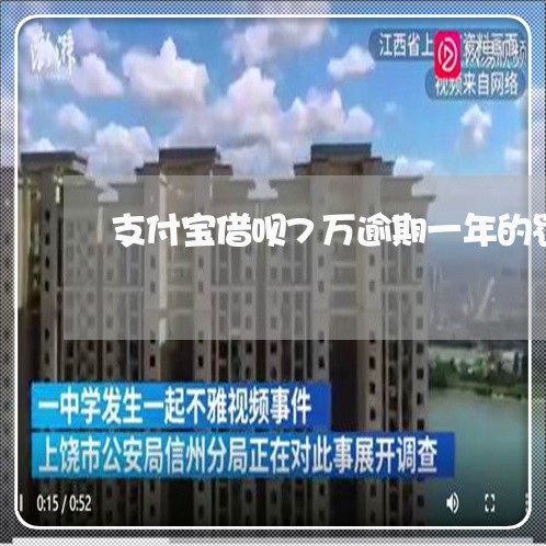 支付宝借呗7万逾期一年的罚金/2023021886149