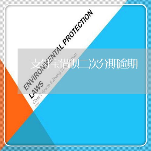 支付宝借呗二次分期逾期/2023030159571 支付宝借呗二次分期逾期/2023030159571
