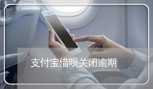 支付宝借呗关闭逾期/2023030131716