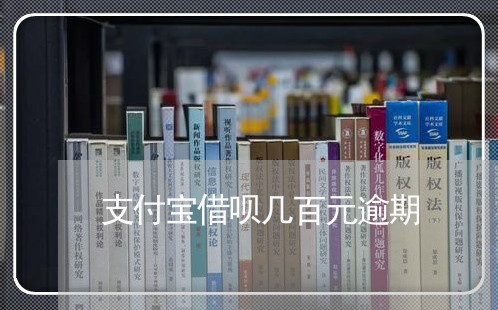 支付宝借呗几百元逾期/2023030110426 支付宝借呗几百元逾期/2023030110426