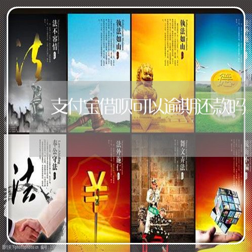 支付宝借呗可以逾期还款吗/2023022881613 支付宝借呗可以逾期还款吗/2023022881613