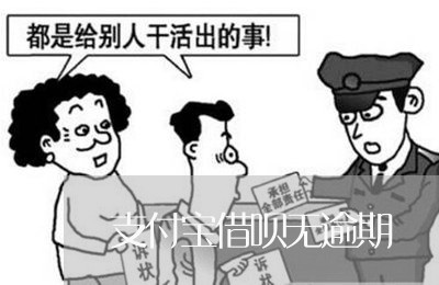 支付宝借呗无逾期/2023020802777