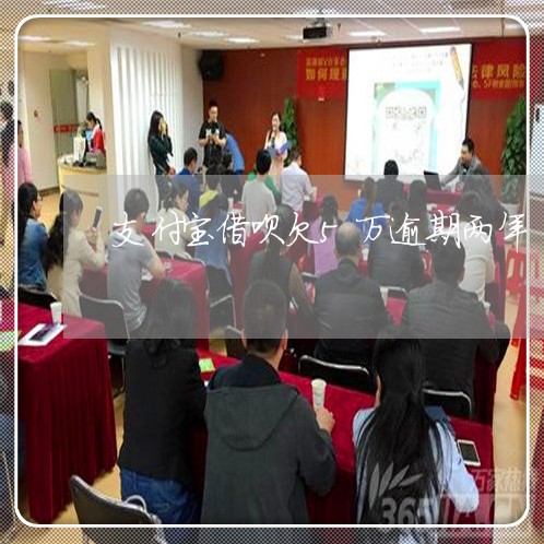支付宝借呗欠5万逾期两年/2023030128538 支付宝借呗欠5万逾期两年/2023030128538
