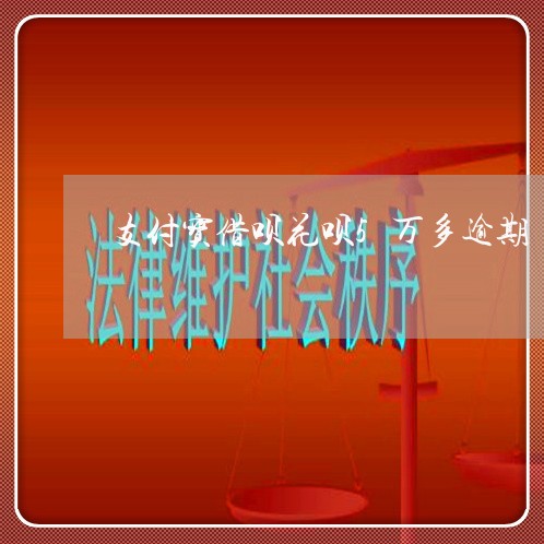 支付宝借呗花呗5万多逾期/2023030139392