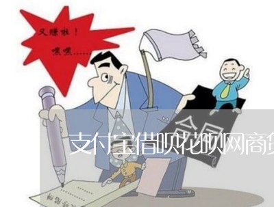 支付宝借呗花呗网商贷逾期/2023030160394